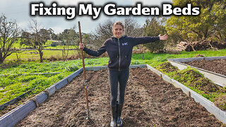 Fixing Garden Beds On My 1/2 Acre Homestead