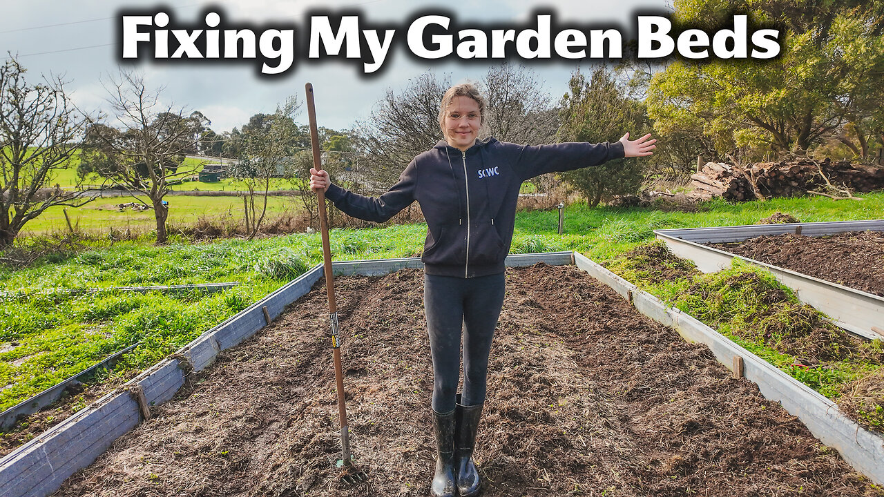 Fixing Garden Beds On My 1/2 Acre Homestead