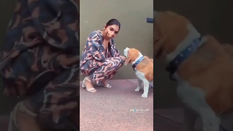 pet expression Queen nazriya ,pet expression with queen nazriya ,#nazriya_expression_queen ,#queen ,