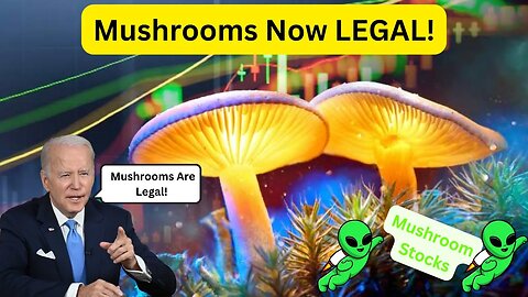 Mushrooms Are Now Legal, These Three Shroom Stocks Are About To 10X!