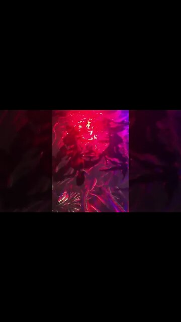 IMG 9335 - Jonathan Kleck