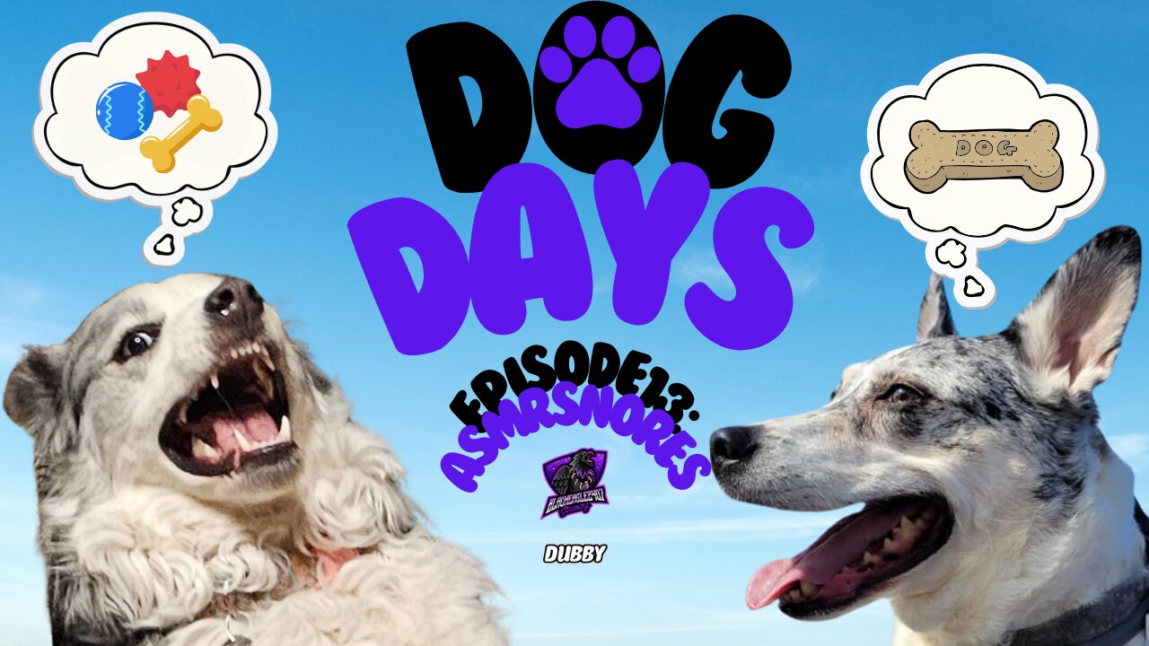 Dog Days Episode 13: ASMR Snores [Australian Shepherd Blue Heeler Husky Mix]