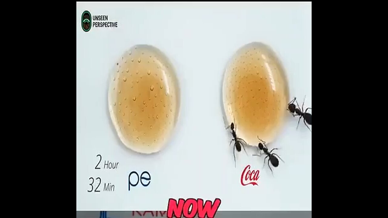 Do Ants Prefer Coke or Pepsi?