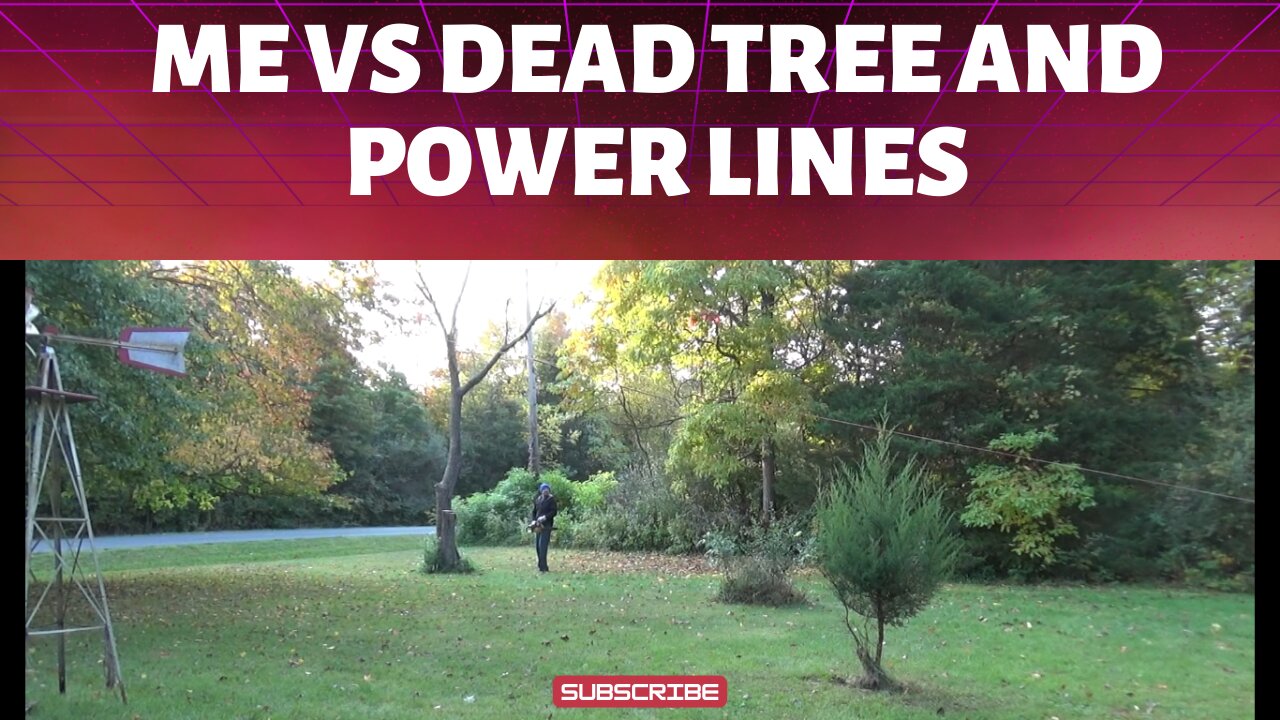 me vs dead tree and power lines, who wins?