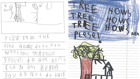 Theo's first-grade class wrote many letters to the city begging them to let the treehouse stay.