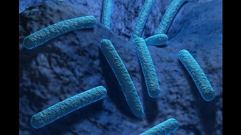 Legionella detected at Las Vegas psychiatric hospital