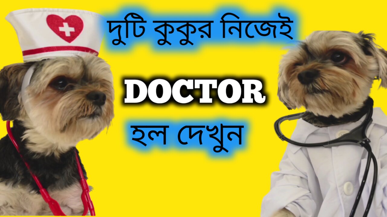 Dr.Doggy