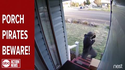 Exploding "Blank Box" scares away porch pirates by using a decoy box