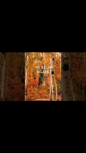 Is it time to Begin Again? #shorts