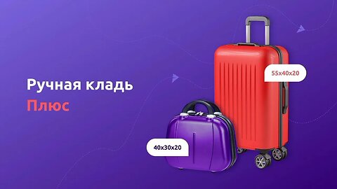 Мы запустили новую дополнительную услугу «Ручная кладь Плюс» 🥳