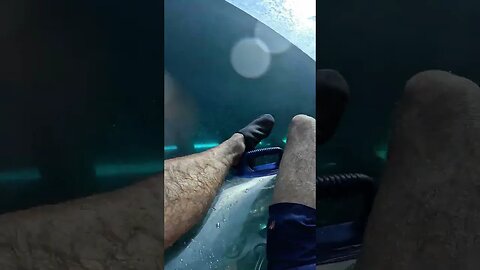 In The Sharks Tank #shorts #dubai #sunset #waterpark #matrix #slide