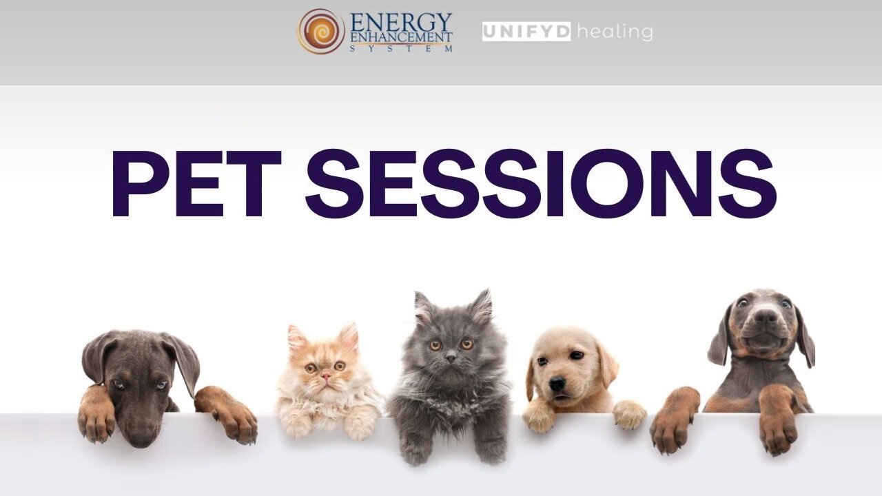 UNIFYD HEALING EESystem | Pet testimonials