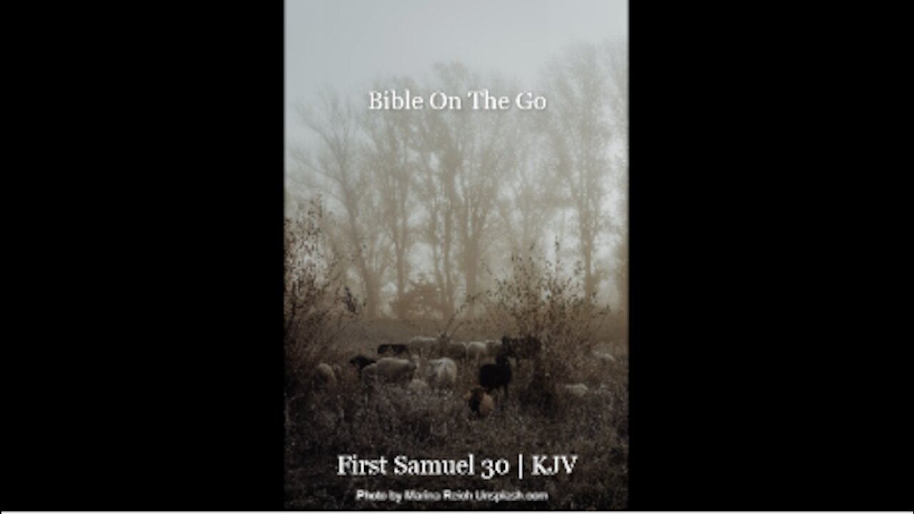 1 SAMUEL 30 | KJV
