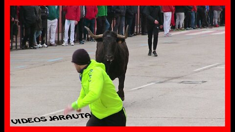 ARNEDO ( LA RIOJA ) MATINAL VACAS CALLE ( DOMINGO 20 MARZO 2022 ) PEDRO DOMINGUEZ