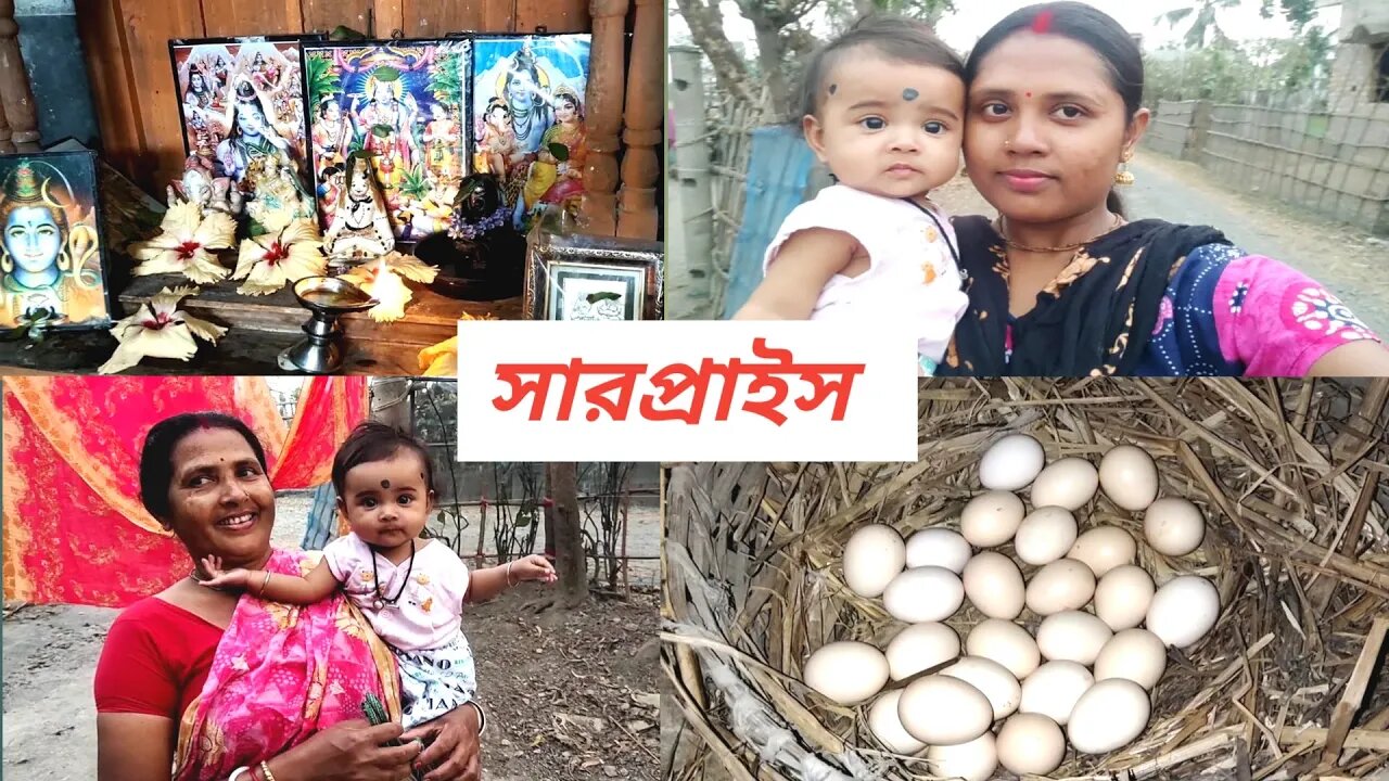 মায়ের হারিয়ে যাওয়া মুরগি টা কোথায় পাওয়া গেলো #msvillagelifestyle