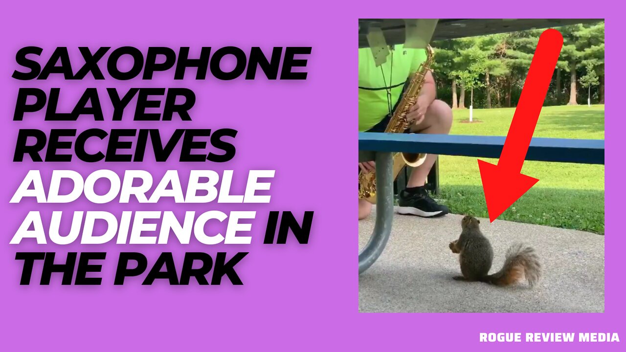 He played in the park everyday...and got THIS adorable audience