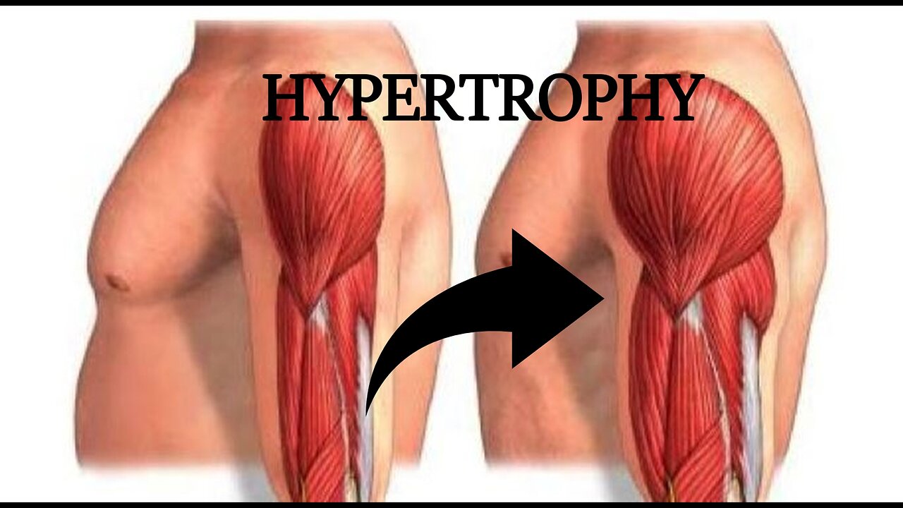 How to Maximize Muscle Hypertrophy | Science Backed-Tips!