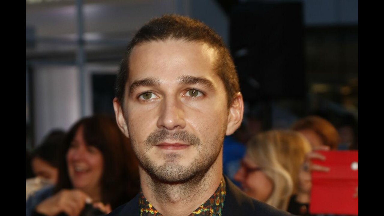 Shia LaBeouf has been charged with battery and petty theft