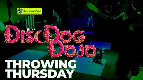 DiscDogDojo #72 | Throwing Thursday