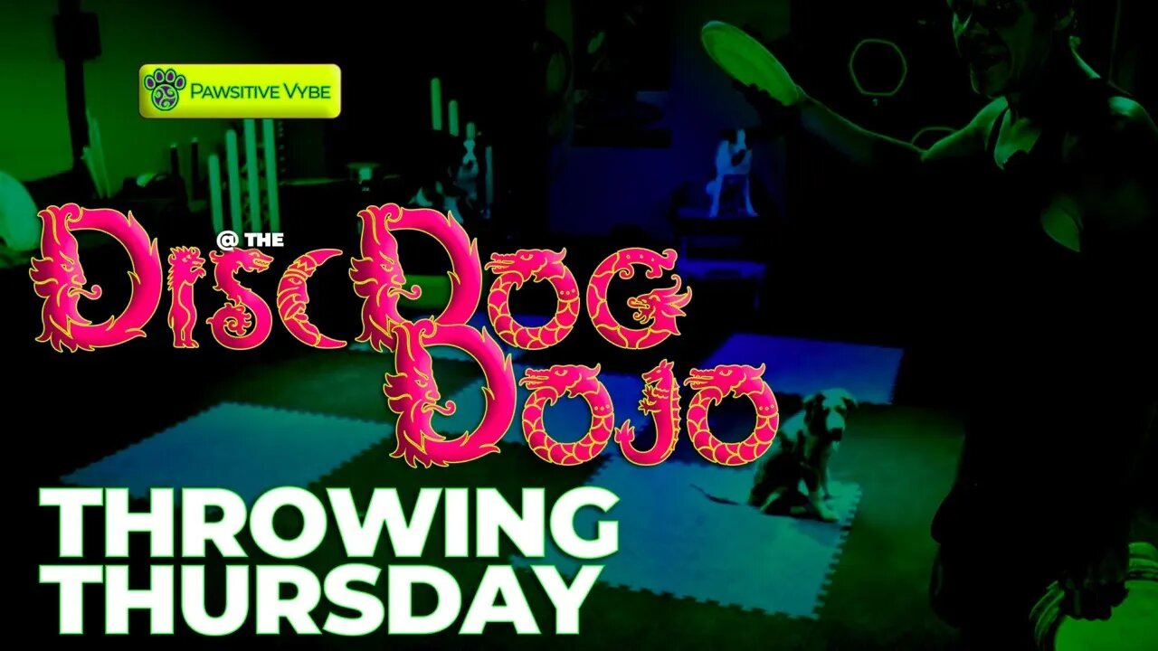 DiscDogDojo #72 | Throwing Thursday