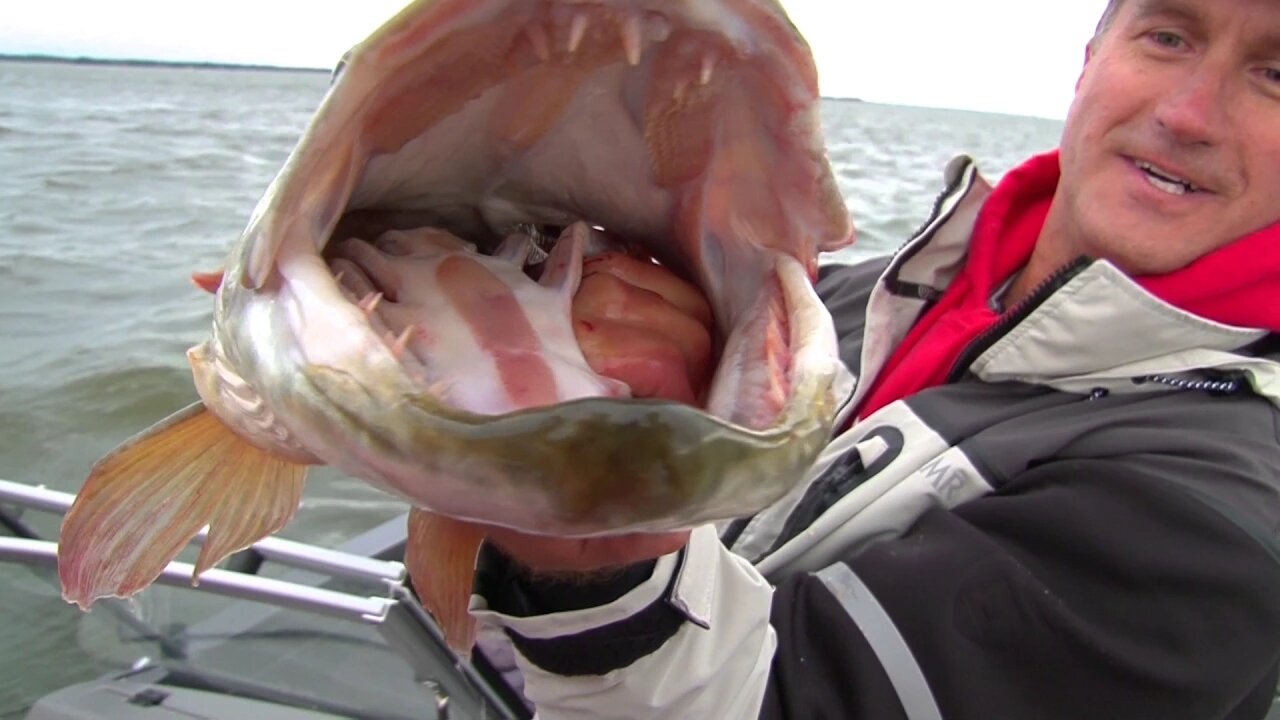 MidWest Outdoors TV Show #1631 - Musky from the Bay of Green Bay