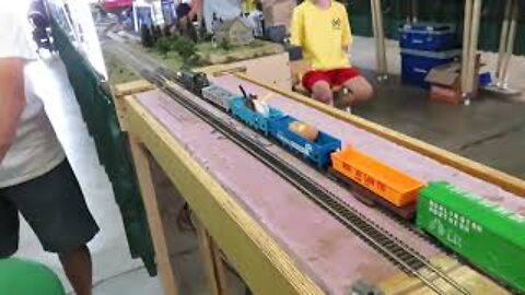 4H HO Trains at Medina Fair Part 11 from Medina, Ohio