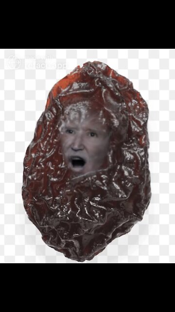 The Ultimate Joe Biden Raisin Meme!