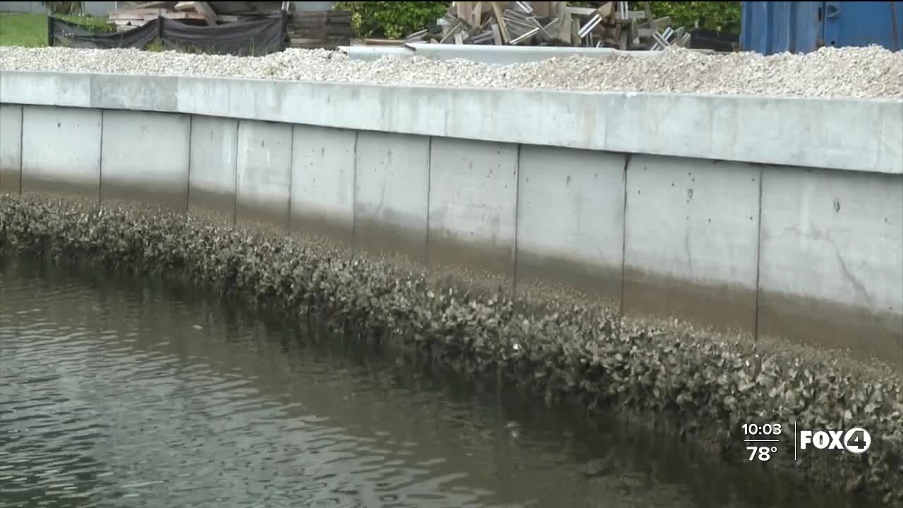 Contractor says change in regulation could double the cost of sea walls on Marco Island