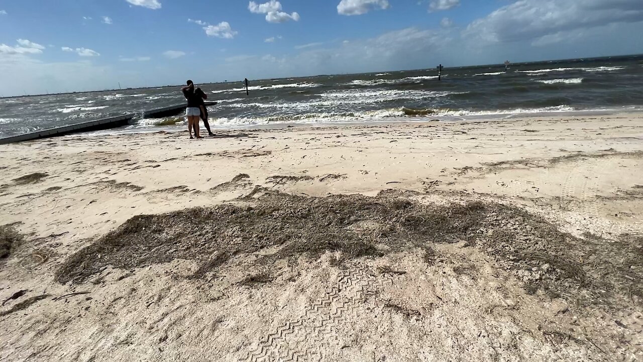 First High Winds at Cypress Beach - Tampa