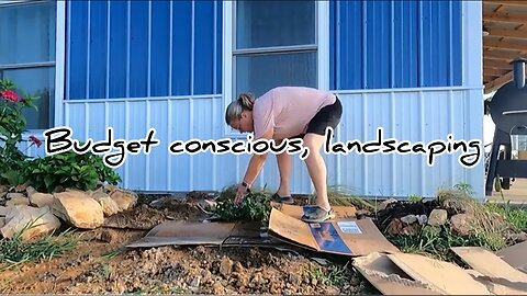 Landscaping On a small Budget part 2