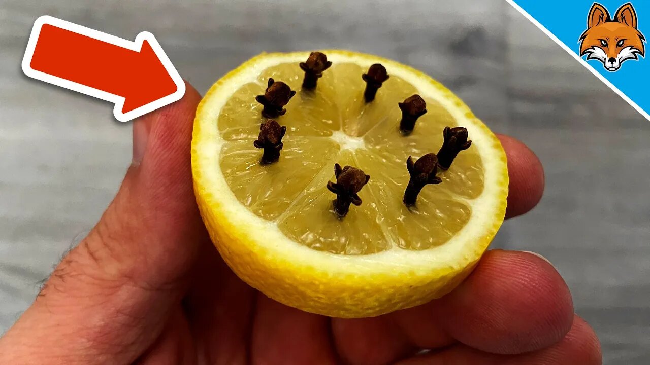 I put THIS in the Lemon and was AMAZED what happened 💥 (GENIUS) 🤯