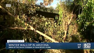 Winter wallop in Arizona