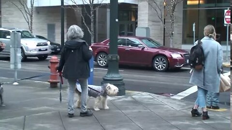 Suggest A Title - From This Landscape M2U00576