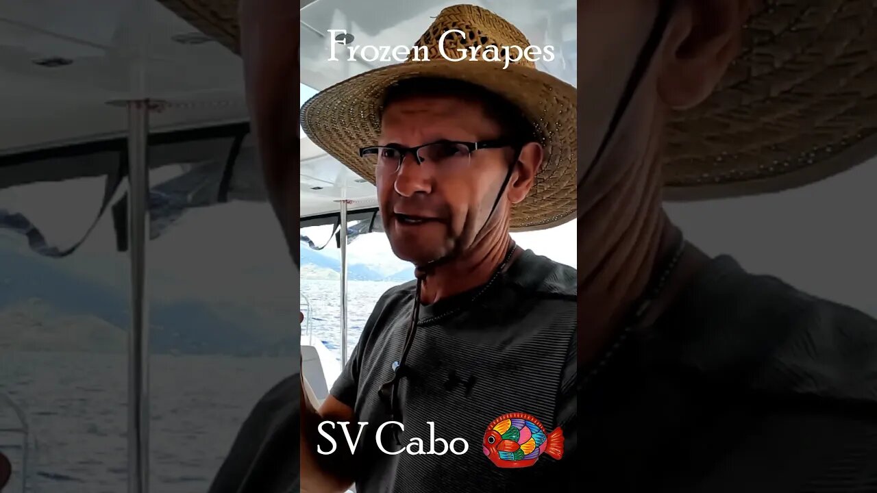 Frozen Grapes-Sailing SV Cabo #short