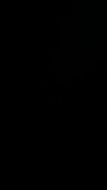 Infrared light heater