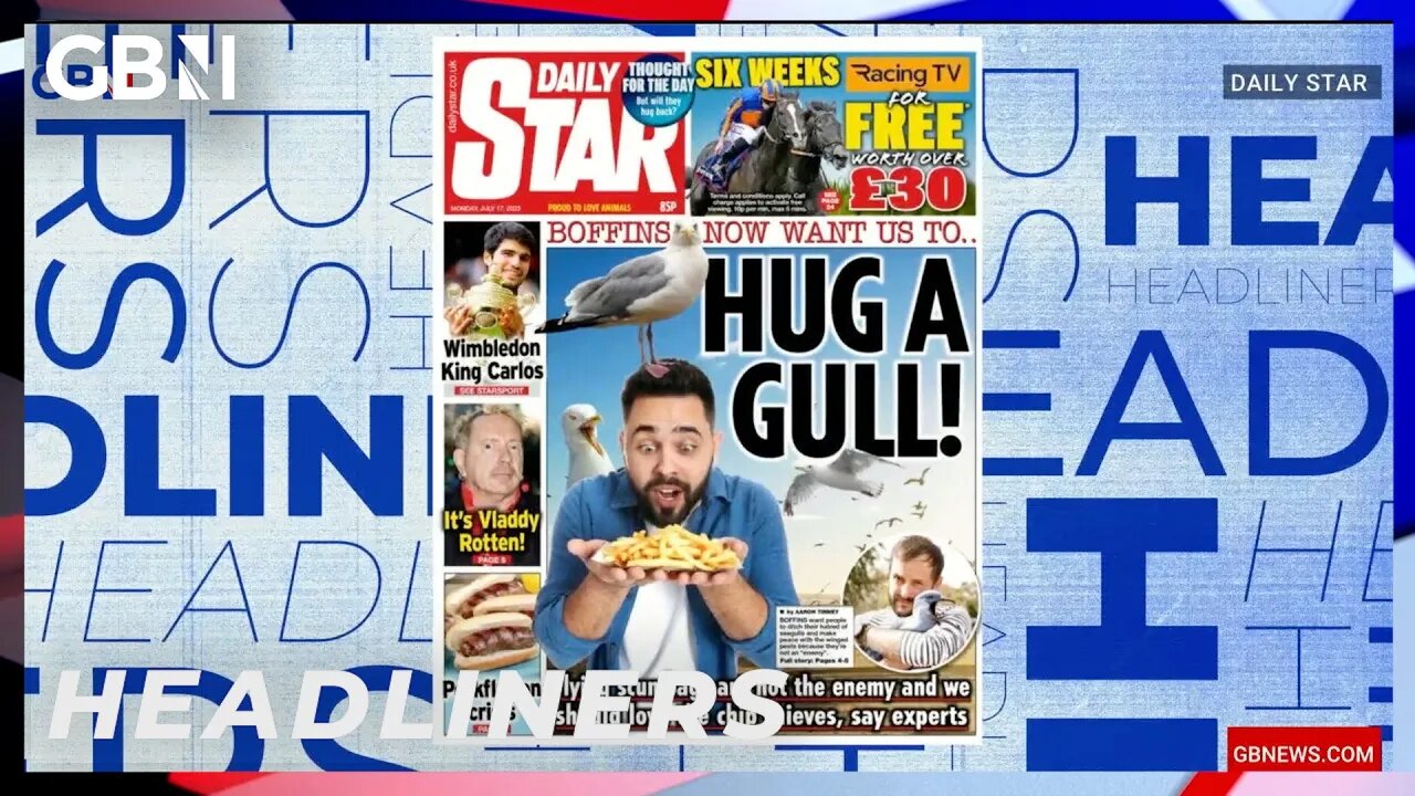 Boffins now want us to HUG A GULL! 🗞