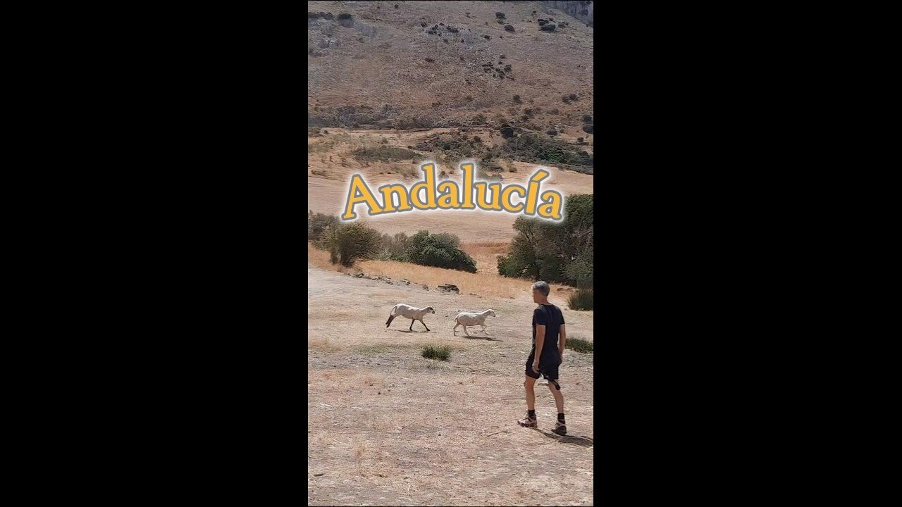 Andalucía - 'De narrige kabouter'