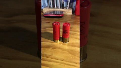 Why Low Brass vs High Brass is Nonsense! #shorts #12gauge #reloading