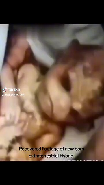 Still more real baby aliens