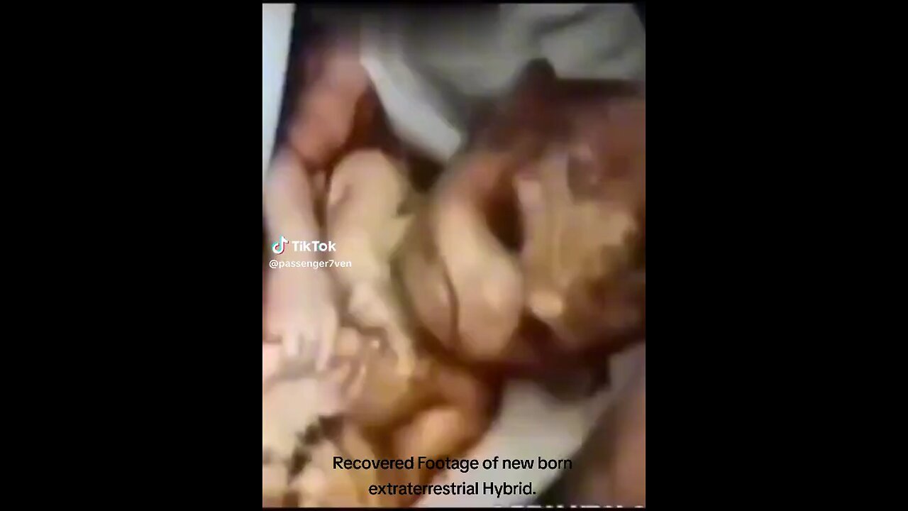 Still more real baby aliens