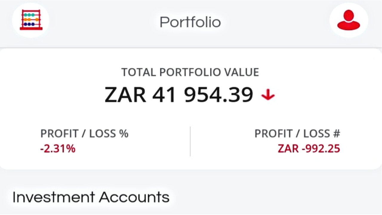 A Look Into My R50 000 Easy Equities Portfolio (Day 8) | 23-Year-Old Investor