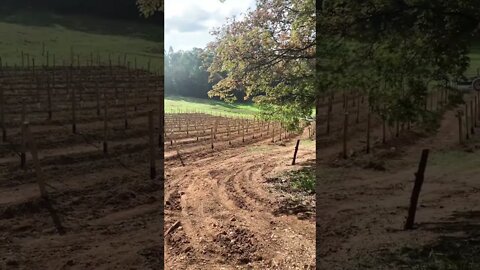 Trabalho na terra