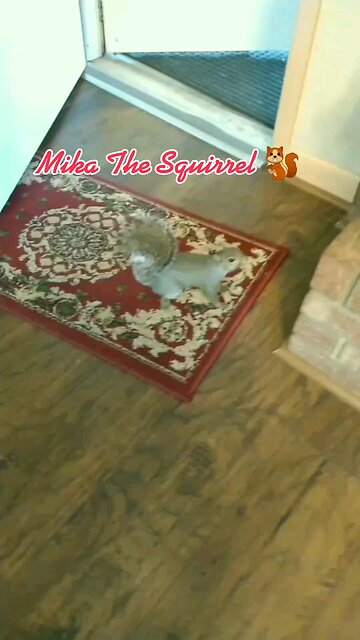 She got some of her pecans inside the house.