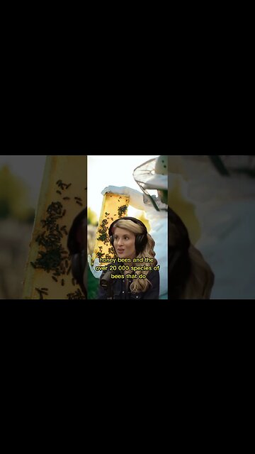 Beekeeping is a very noble profession - Joe Rogan & Erika Thompson