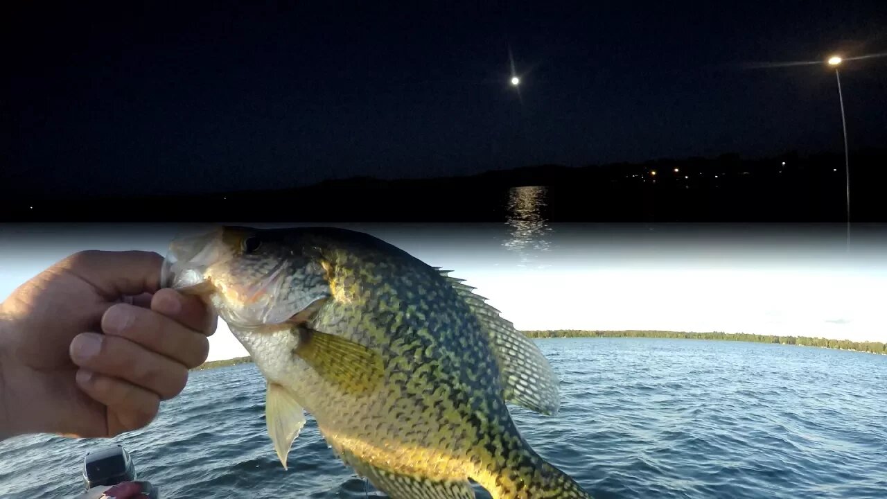 Crappie Fishing - Night Fishing Crappie Trolling 2017