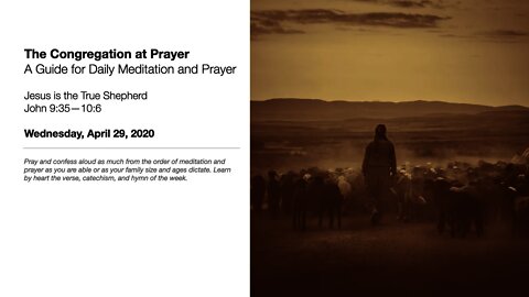 Jesus is the True Shepherd - The Congregation at Prayer for April 29, 2020