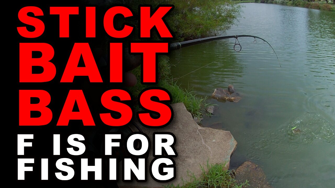 Stick Bait Bass