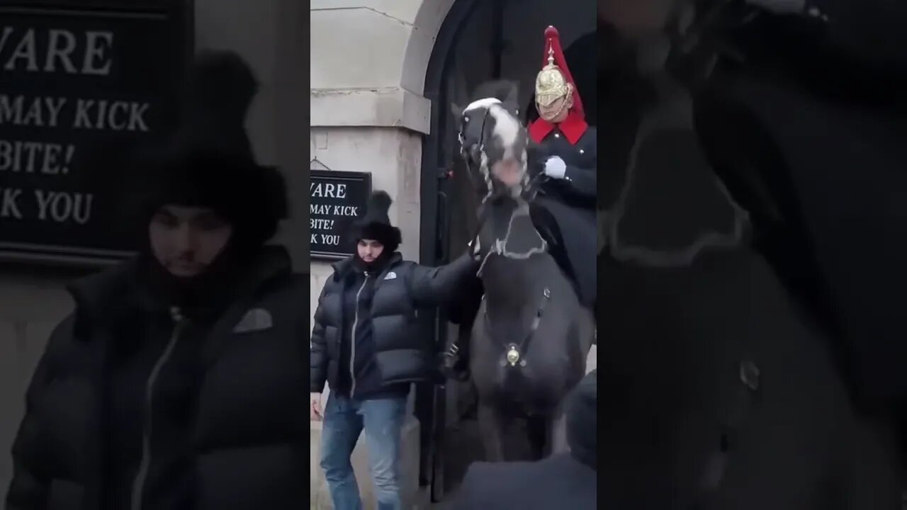 The kings guard had enough of disrespectful tourist #thekingsguard