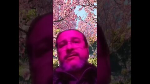 Spring Tripping Time