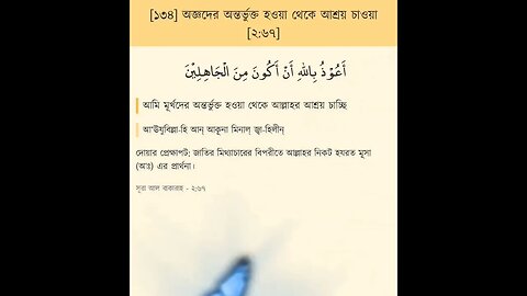 আমাদের ইসলাম কে জানতে হিবে #islamic_story #viral #shortfeed #islamic #shorts